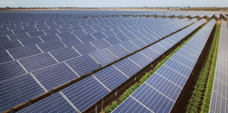 Image for Solar Panels That Let Crops Grow Underneath Them